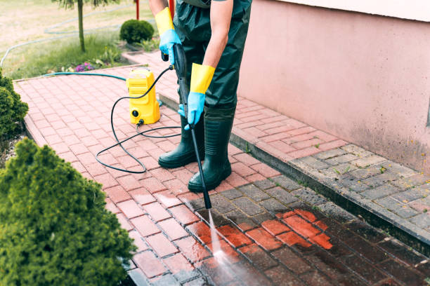 Boat and Dock Cleaning in West Point, VA