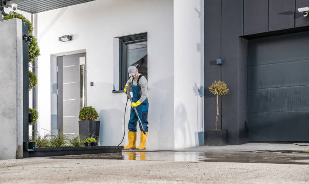 Best Dumpster Area Cleaning  in West Point, VA